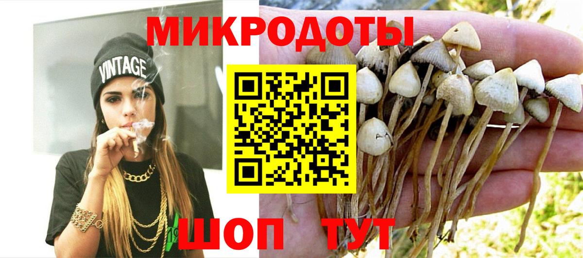Псилоцибиновые грибы Magic Shrooms Советск