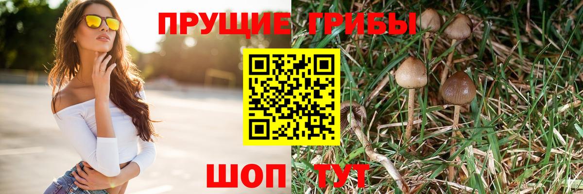 Советск  Псилоцибиновые грибы мицелий  как найти   Вход с VPN 